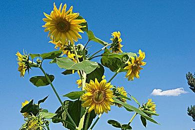 《驱灵者：新伊甸的幽灵》解放新伊甸的人民 13日发售